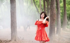 国产欧洲野花视频WWW